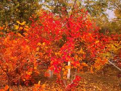 -玉渡山自然风景区