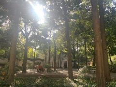 -汇龙潭