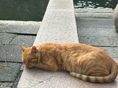 -状元楼(东大街店)