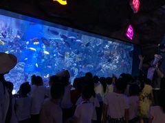 -烟台海昌鲸鲨海洋公园