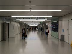 -江苏省人民医院(广州路院区)