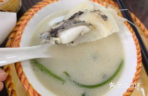 Coriander Tofu Fish Head and Tail Soup