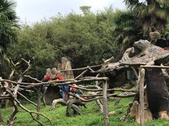-杭州野生动物世界