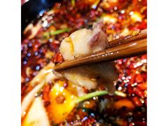 -川派鲜鱼火锅