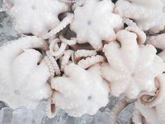 -铭聚章鱼土笋冻(松柏店)