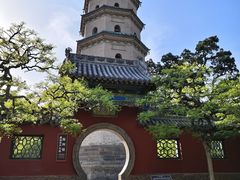 -晋祠公园