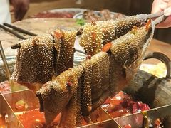 -袁山山重庆火锅(丈八北路店)
