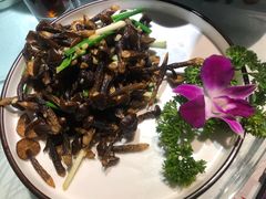 -雲蜀龙阁·金牌水煮鱼(方庄店)