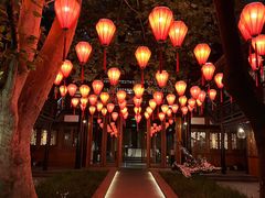 -Jing Bar 井酒吧