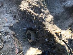 -城市便捷酒店(北海老街海景店)