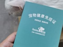 -虹泰宠物医院 ·旗舰店·24h(南秀路店)