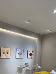 -洗脸猫·洗脸吧