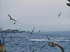 -大连海昌东方水城