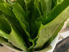 油麦菜-椒王火锅(厚街万达店)