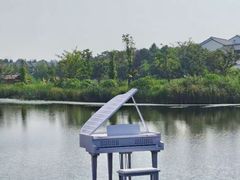 -杭州湾海上花田景区