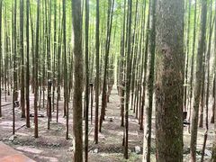 -山王坪喀斯特国家生态公园