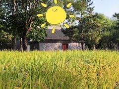 -北坞公园