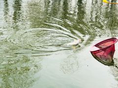 -酷鱼垂钓CLUB(朝阳区博大路店 )