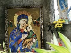 -芽庄中心购物广场