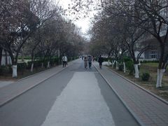 -山东师范大学(千佛山校区)