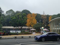 -庆蓉云·庆云面(双林店)