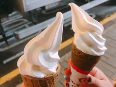 -富豪雪糕车流动点(尖沙咀店)