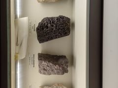 -正佳自然科学博物馆