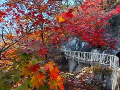 -丹东凤凰山景区