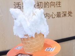-野人先生现做冰淇淋(北京环宇荟店)