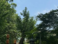 -杭州黄龙洞