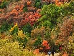 -北京西山国家森林公园