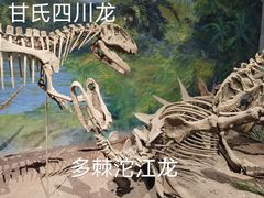 -自贡恐龙博物馆