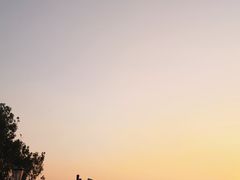 -小麦岛公园