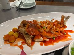 松鼠鳜鱼-姑苏家宴·苏帮菜·松鼠桂鱼(苏州总店)