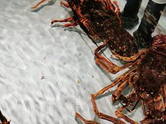 -万龙洲海鲜(大兴绿地缤纷城店)