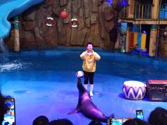 -烟台海昌鲸鲨海洋公园