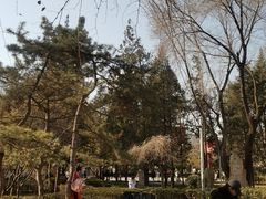 -双榆树公园