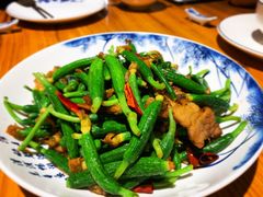 时迁黄瓜芽-兴农记