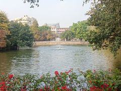 -荔湾湖公园