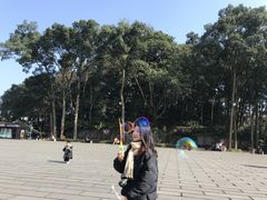 -峨眉山报国寺