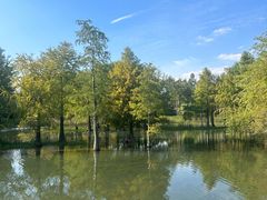 -贡湖湾湿地公园