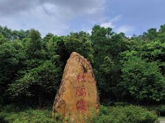 -东莞植物园