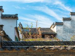 -枸杞岛