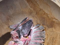 -云中鱼蒸汽石锅鱼(浦东食品城店)