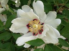 -北京植物园-展览温室