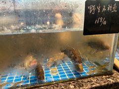 -雾·江·鲜建德菜