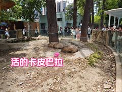 -成都动物园