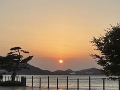 -晓琦农家菜馆·地道农家菜