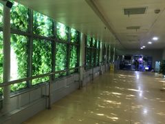 -五台山游泳馆