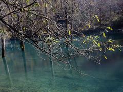 -叠溪松坪沟景区